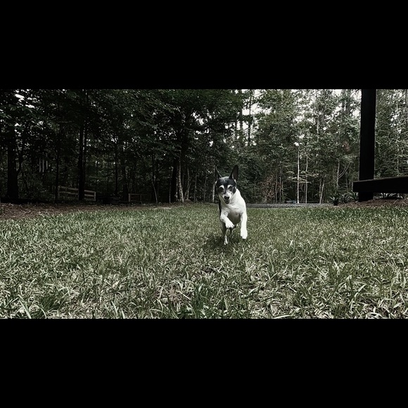 Meet Your Posher, Janice - Picture 8 of 8